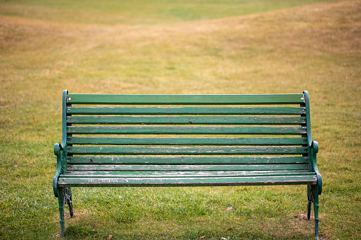 GReen wooden bench on the green grass