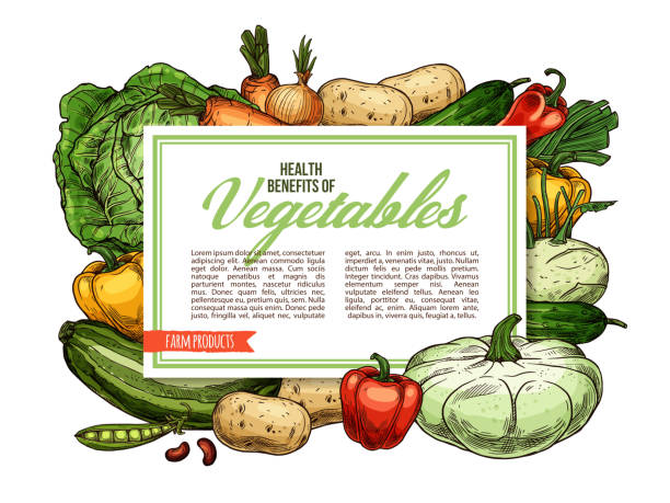 warzywa, wegetariańskie korzyści zdrowotne - vegetable leek kohlrabi radish stock illustrations