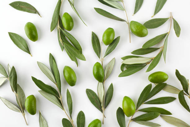 istock Pattern with green olive fruits with leaves on white background. Top view. 1192650482