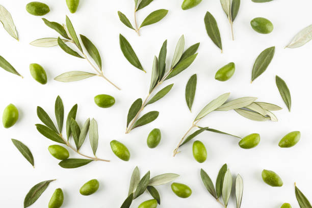istock Pattern with green olive fruits with leaves on white background. Top view. 1192650499