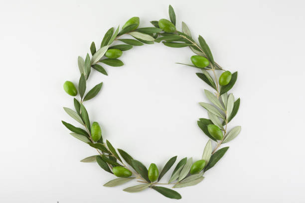 istock Green olive wreath on white background. Top view 1192650517