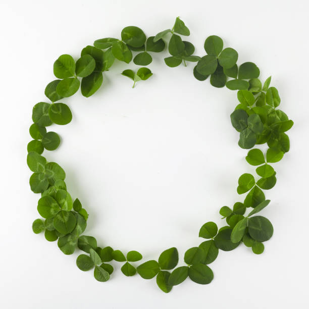 istock Green clover shamrock leafs wreath border frame on white background. St. Patrick's Day postcard template. 1192651129