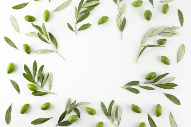 istock Frame or borders made of fresh green olive fruit with leaves on white background. Top view. 1192651208