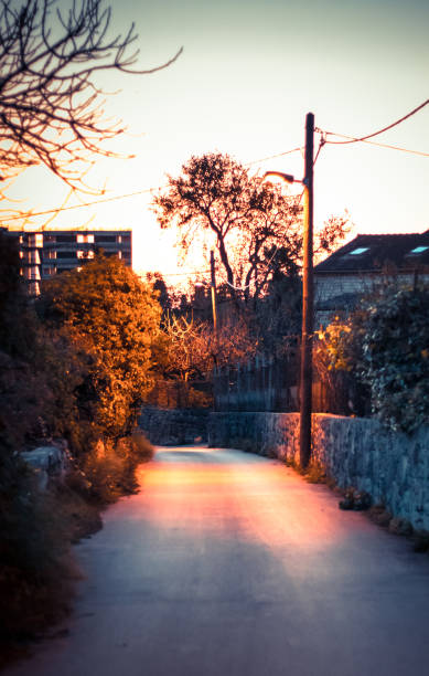ciemna droga o wschodzie słońca, wioska wiejska wąska droga ze światłem zapewniana przez latarnie uliczne - street light fog morning country road zdjęcia i obrazy z banku zdjęć