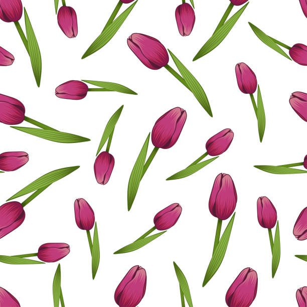 illustrations, cliparts, dessins animés et icônes de tulipes de printemps. motif sans couture. - double tulip