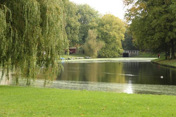 istock Lake in Amsterdam 1192651512