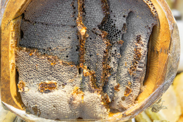 karakovan favo de mel natural feito na natureza. - honey purity raw pollination - fotografias e filmes do acervo