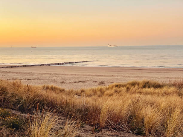 nordseestrand in cadzand, zeeland, niederlande - zeeland stock-fotos und bilder