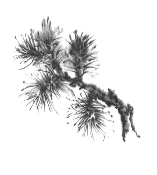 istock A branch of spruce, pine. Tree, Christmas tree. Ink graphics. Chinese, japanese, oriental style. Gohua, meditation, nature health. 1192658322