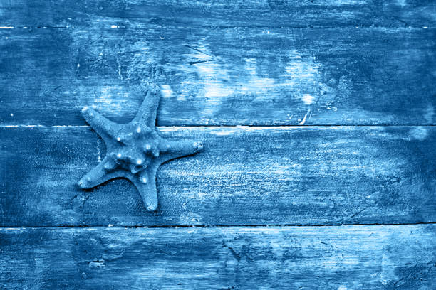 top view star fish  on a blue wooden boards
