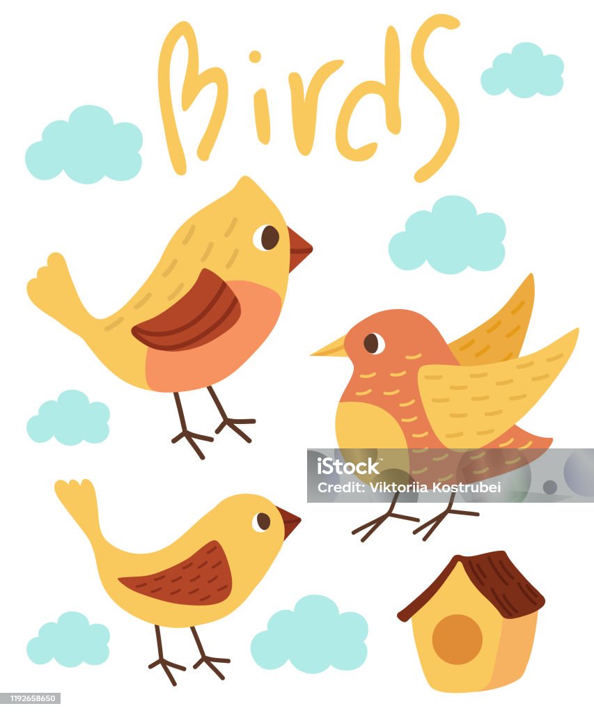 Tập Hợp Các Loài Chim Dễ Thương Chim Vàng Và Hồng Vẽ Tay Các Nhân ...