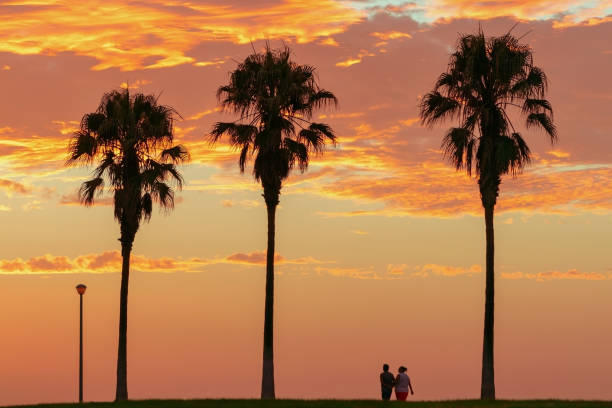 beautiful silhouette of a young seductive woman on the background of the beach, palm trees and sunset