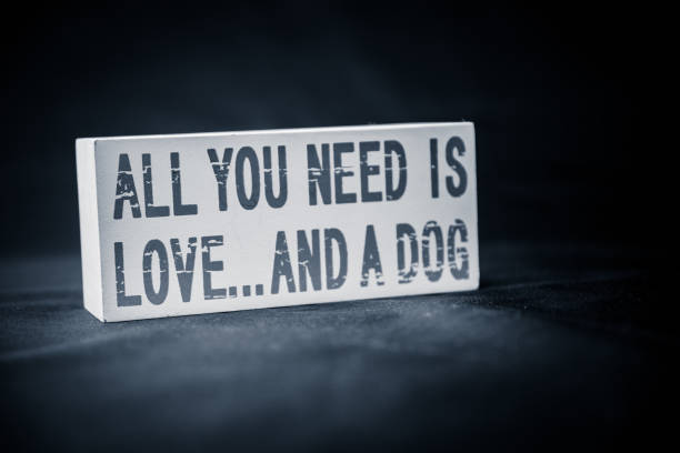 istock All you need is love and a dog 1192664436
