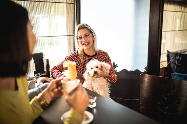 Friends relaxing around a table at a coffee shop stock photo