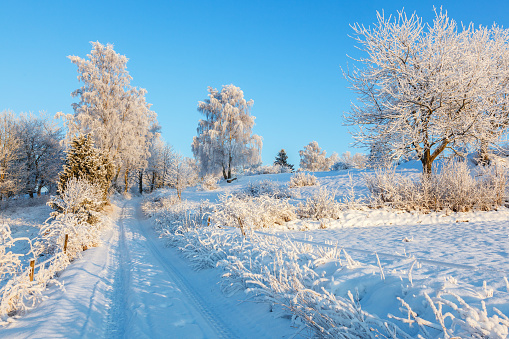 Snowy winter landscape with a dirt road at the fields