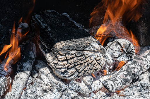 Burning charcoal, wood logs on furnace. Fire
