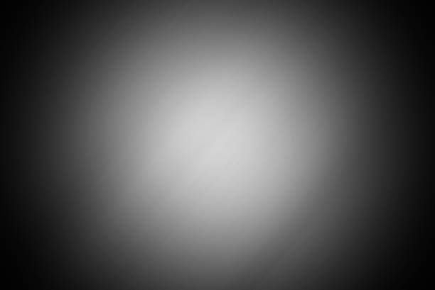 The black  and silver are light gray with white the gradient is the Surface with templates metal texture soft lines tech gradient abstract diagonal background silver black sleek  with gray and white.