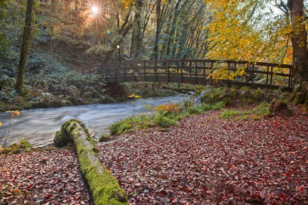 River Gwaun in Pembrokeshire in Autumn