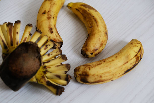 istock banana root, finished banana root, 1192672472