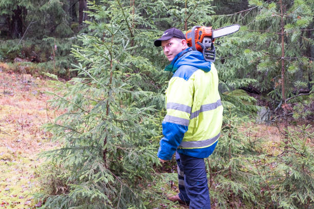 istock A man, a European, in work clothes with a chainsaw on his shoulder. The worker stands half a turn and looks over his shoulder. Sawed forests in Finland 1192673699