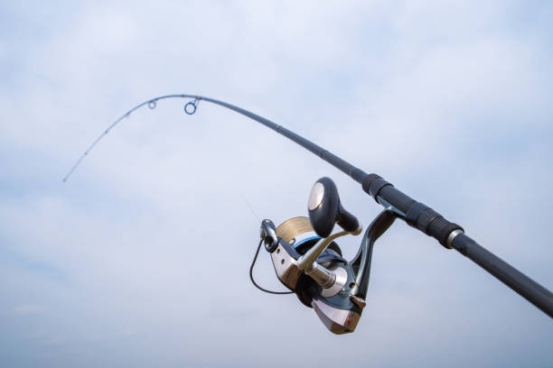 istock Fishing rod with reel. 1192691487