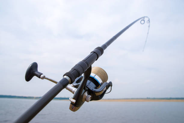 Fishing rod with reel close-up. Fishing rod with reel close-up. The fishing rod is bent and fully tensed Carbon Fishing Rod stock pictures, royalty-free photos & images