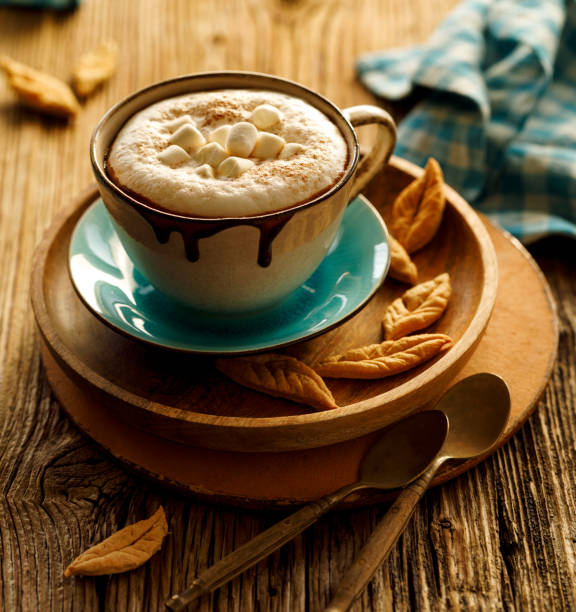 istock Hot chocolate with marshmallows and cinnamon in a ceramic mug on the wooden table. 1192693630