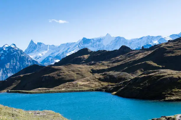 Beautiful Bachalpsee trek with the Swiss Alps in background