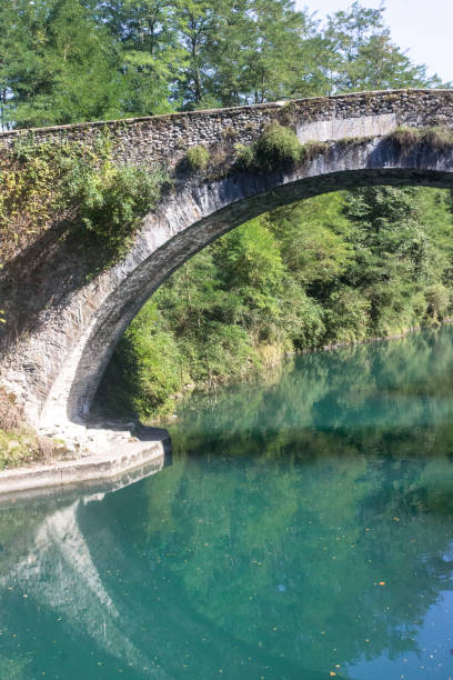 istock Reflection of a forest in a mountain river under an arched bridge 1192696253