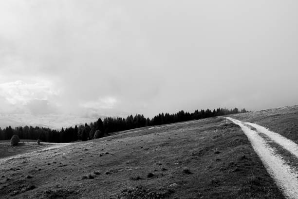 istock autumn in Asiago five 1192696320