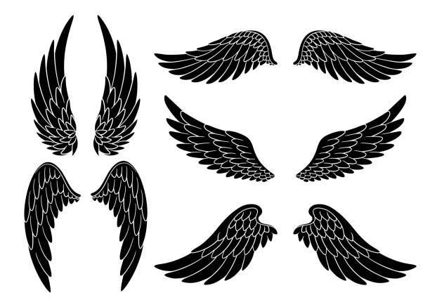 ilustraciones, imágenes clip art, dibujos animados e iconos de stock de conjunto de alas de pájaro o ángel dibujadas a mano de diferente forma en posición abierta. conjunto de alas de garabato negro - wing artificial wing coat of arms vector