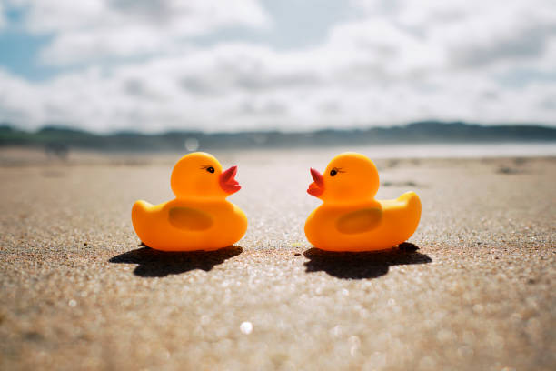 istock Conceptual romance, two rubber ducks on holiday at the beach. 1192698989