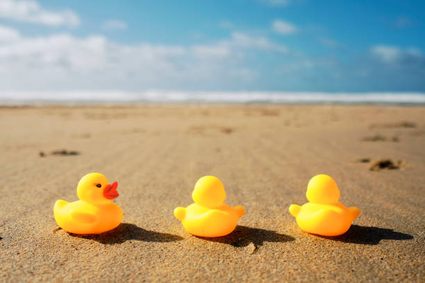 istock conceptual, threes a crowd, three rubber ducks at the beach, two facing the shore. 1192698992