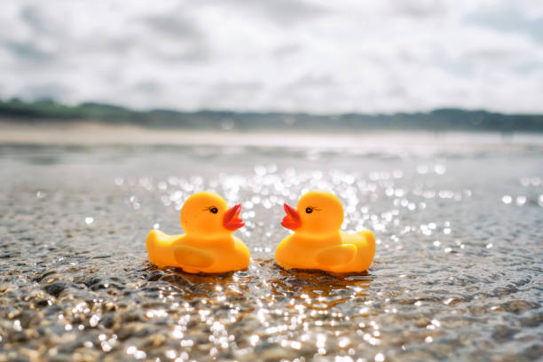 istock Conceptual romance, two rubber ducks on holiday at the beach. 1192698995
