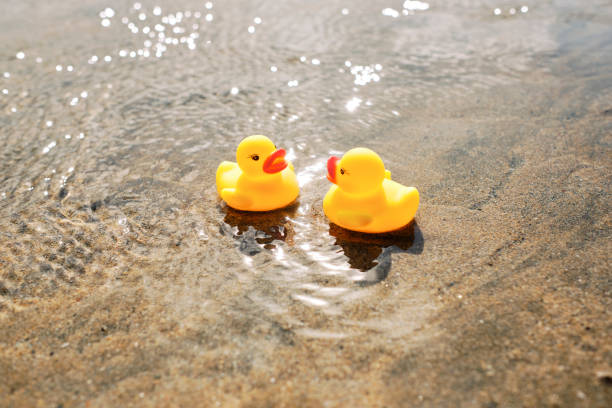 istock Conceptual romance, two rubber ducks on holiday at the beach. 1192699016