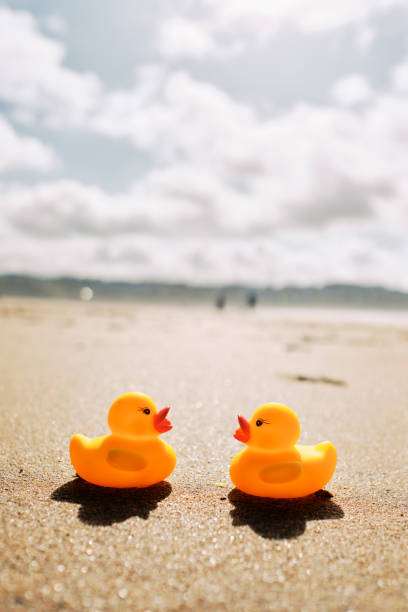 istock Conceptual romance, two rubber ducks on holiday at the beach. 1192699188