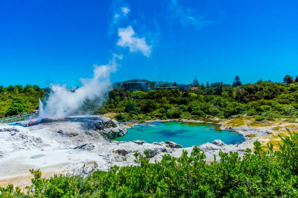 rotorua gejzer i błota baseny - sulphur landscape fumarole heat zdjęcia i obrazy z banku zdjęć