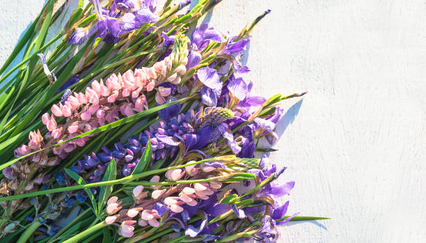 istock Bunch of wild summer flowers (iris, lupine) 1192704408