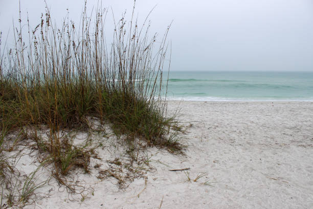 istock Beach with storm in distance 1192704562