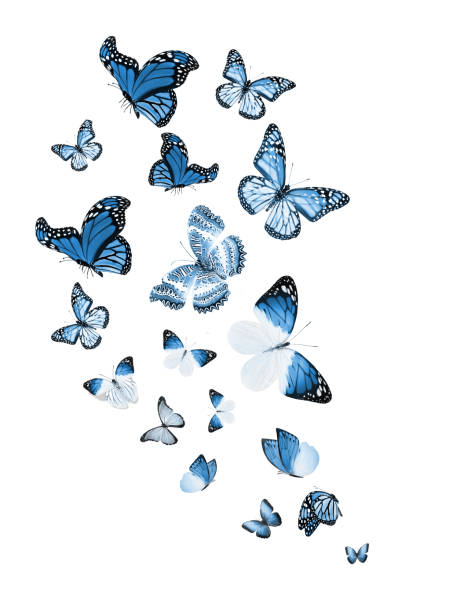 istock Flock of flying butterflies isolated on white 1192705947