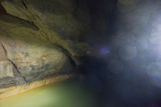 istock Glowworms in Waitomo Caves 1192706844