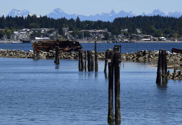 istock shipwreck site in Royston, Vancouver Island, BC 1192707148