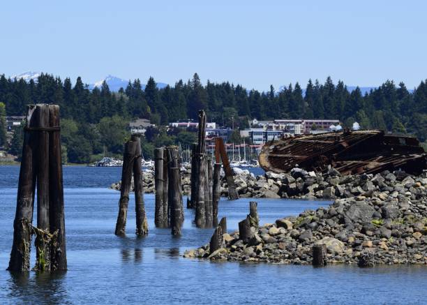 istock shipwreck site in Royston, Vancouver Island, BC 1192707182