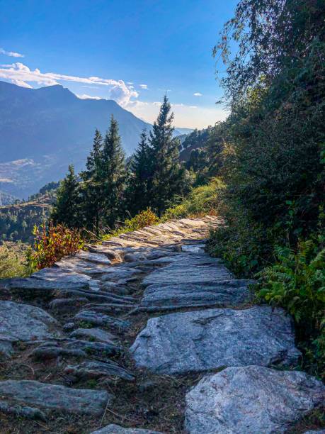 bel modo deoriatale chopta uttarakhand - carpathian mountain range adventure mountain peak mountain foto e immagini stock