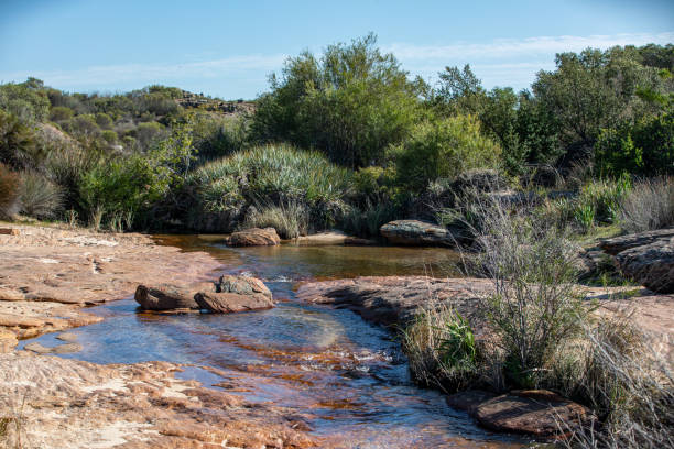 istock Landscape of the Cederberg Mountains 1192709868