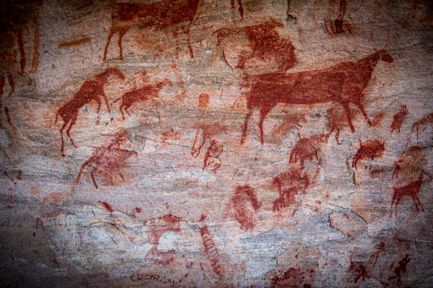 Rock Art of the old Bushmans Rock Art of the old Bushmans cederberg mountains photos stock pictures, royalty-free photos & images