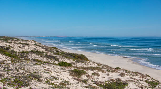 istock On the Beach near runway, Western Cape 1192710938