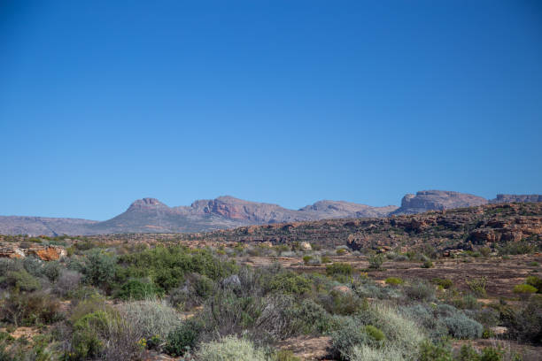 istock Landscape of the Cederberg Mountains 1192711259