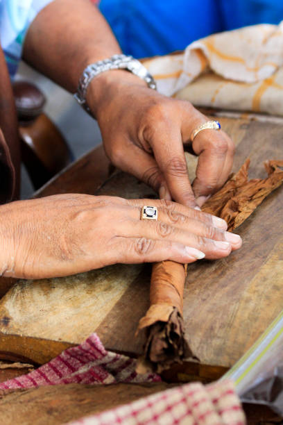 istock Wrap your hands in cigars 1192711961