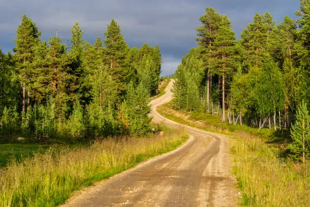 Ground road through the pin forest of Lemmenjoki national Parc in Finish Lapland. Inari municipality. Cloudy sky is at background.
